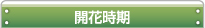 開花時期