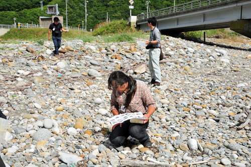 石拾い.jpg
