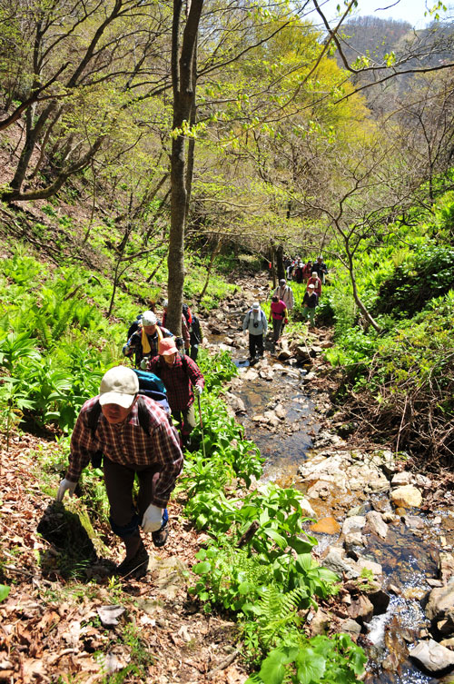 120513山道沢急登縦.jpg