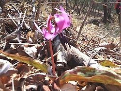 0423 11時27分-2.jpg