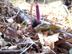 0423 8時56分-2.jpg