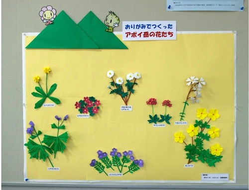 0708折り紙でつくったアポイの花たち.jpg
