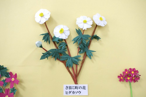 0708折り紙ヒダカソウ.jpg