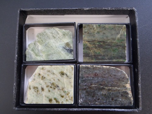 0212ジオ実験標本.JPG