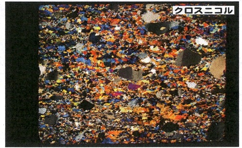 0309クロスニコル.jpg