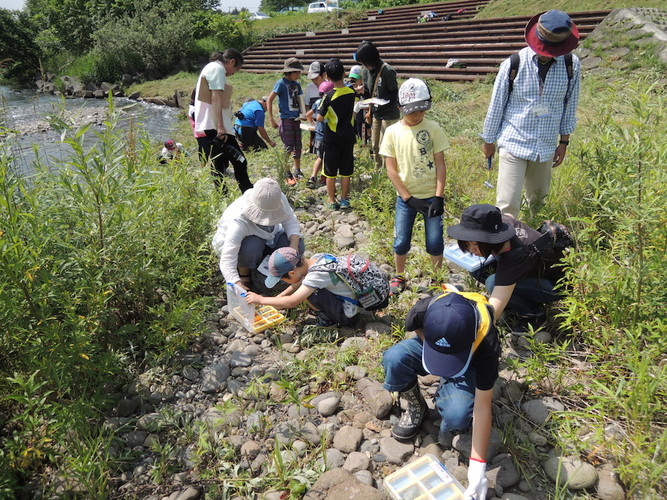 http://www.apoi-geopark.jp/blog/2014/0706%E5%B0%8F%E7%9F%B3%E9%9B%86%E3%82%81.jpg