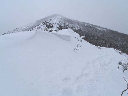 http://www.apoi-geopark.jp/blog/2015/0222%208%E3%82%BB%E3%83%83%E3%83%94.jpg