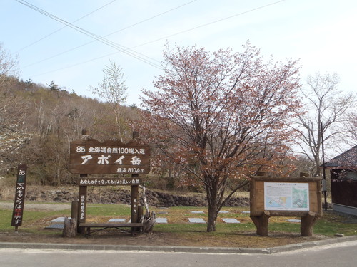 http://www.apoi-geopark.jp/blog/2015/05031%E3%82%A2%E3%83%9D%E3%82%A4%E5%B2%B3%E6%A1%9C.jpg