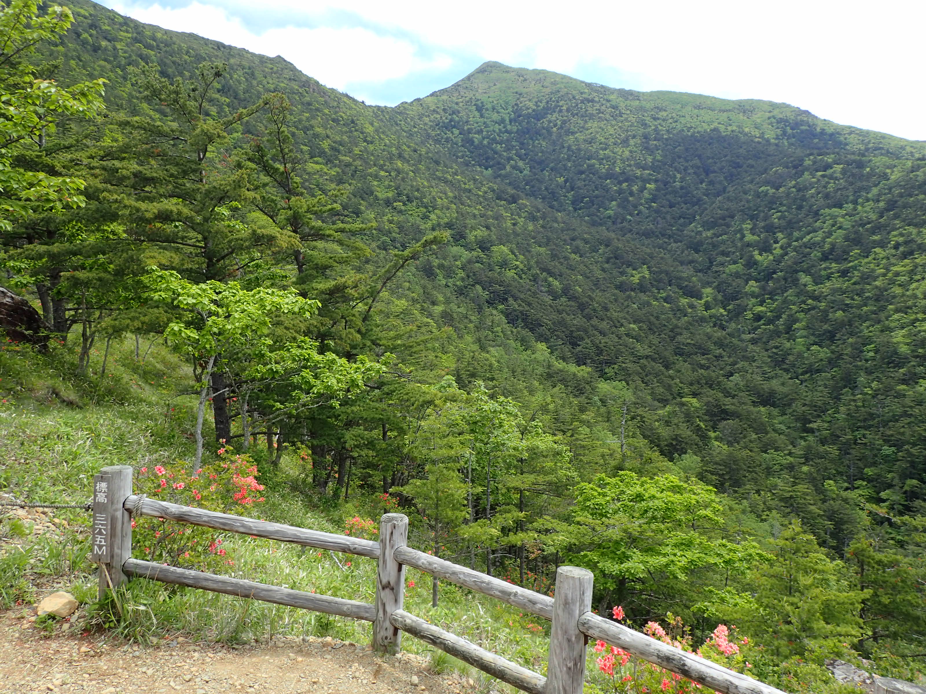 http://www.apoi-geopark.jp/blog/P6071518.JPG