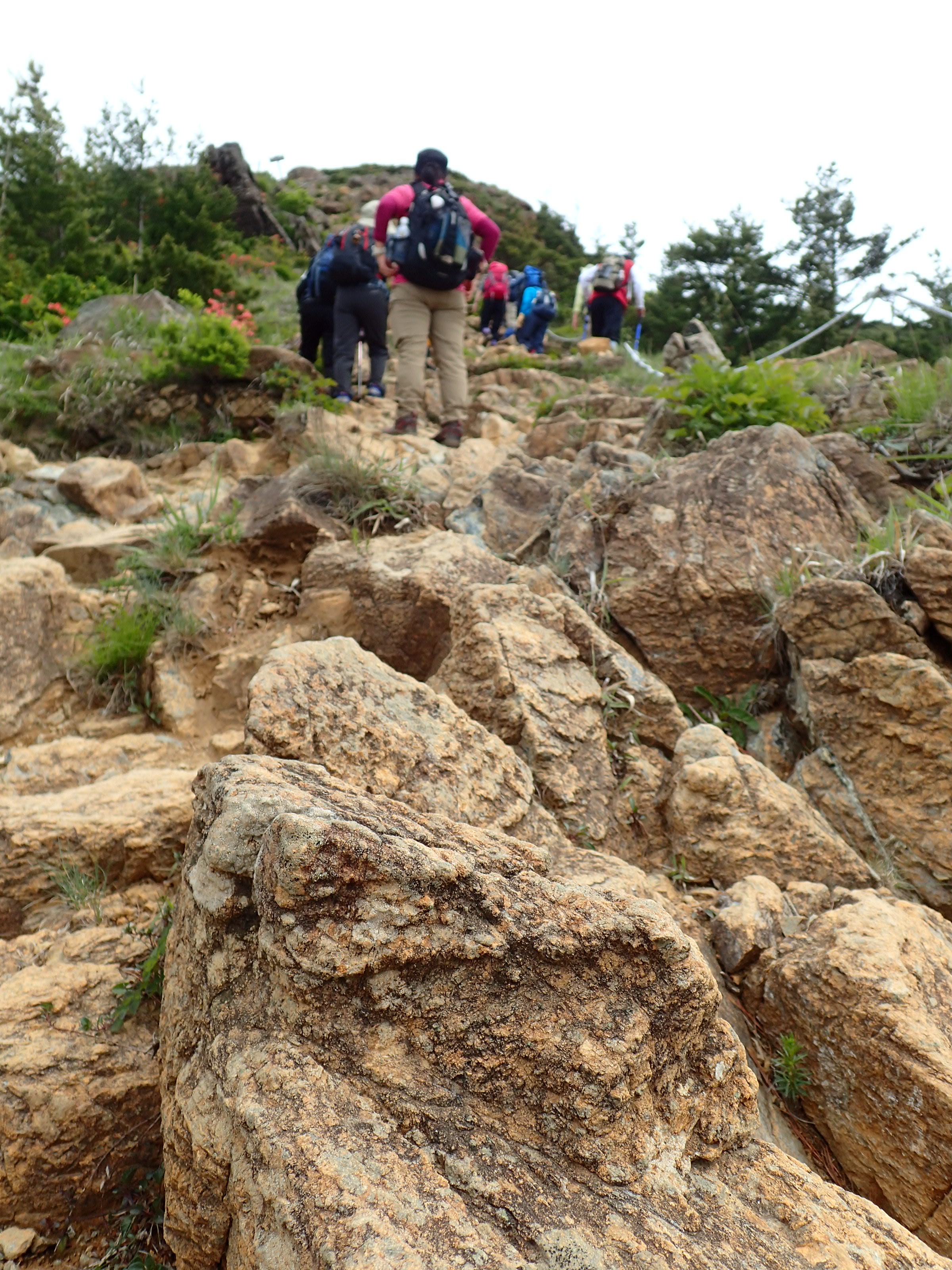 http://www.apoi-geopark.jp/blog/P6071533.JPG
