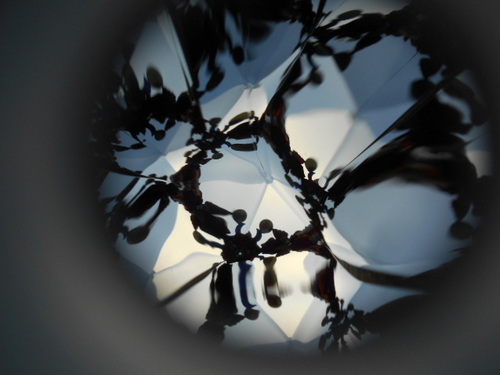 DSCN0259.JPGのサムネール画像