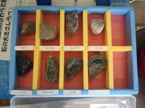 0706小石の標本箱.jpg