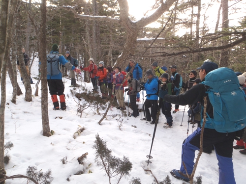 0222 3 ミヤマビャクシン.jpg