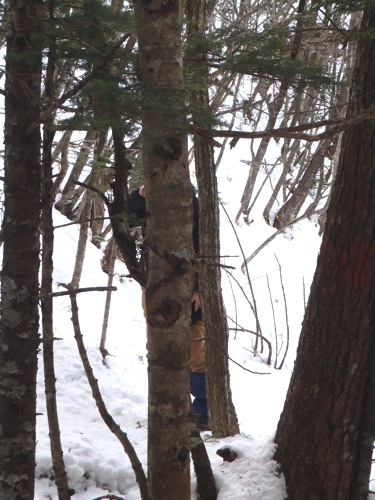 0222 4オオトラカミキリ.jpg