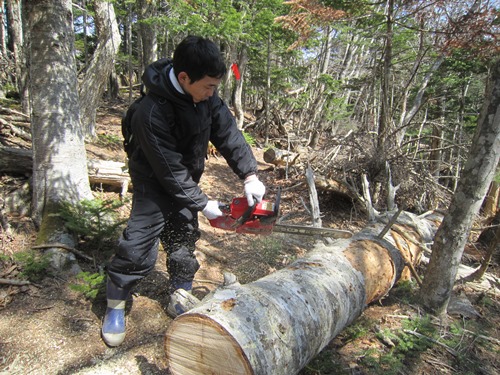 山道整備_横山チェーンソー.jpg