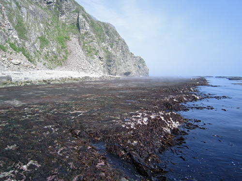 エンルム岬の磯.jpg