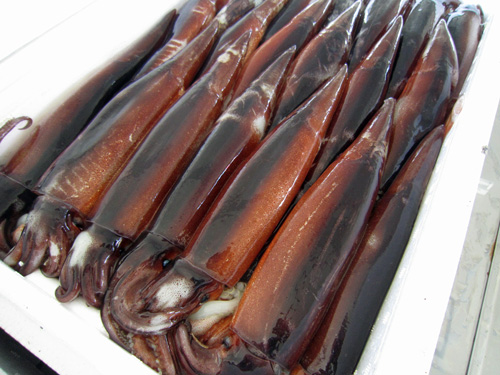 エンルム市場イカ.jpg