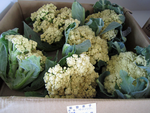 エンルム市場カリフラワー.jpg