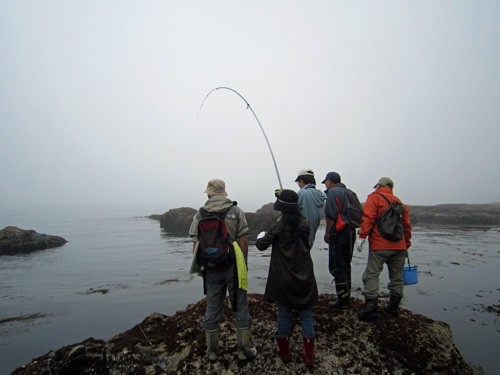 エンルム磯・釣り竿ヒット.jpg