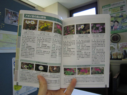 ガイドブック改訂版・花.jpg