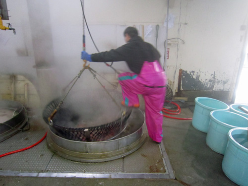 丸富加工場タコ茹で作業.jpg