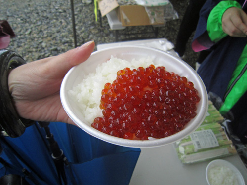 味覚祭りイクラ丼.jpg