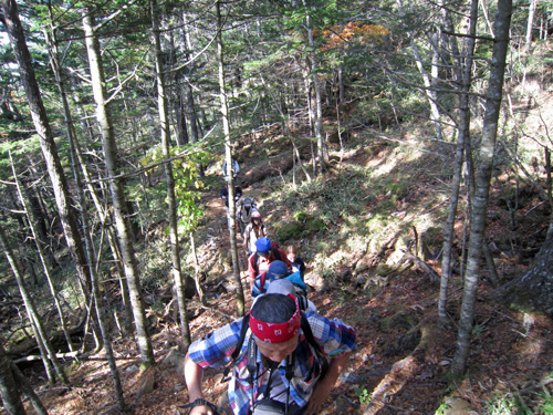 地団研・登山樹林帯.jpg