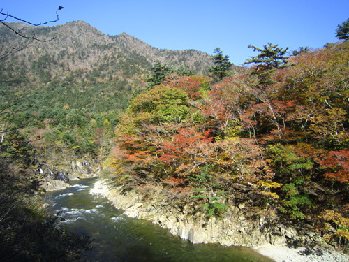 幌満峡紅葉(ゴヨウマツ記念.jpg