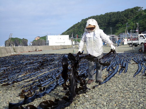 昆布干場かあさん.jpg