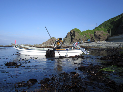 昆布採り・円館.jpg