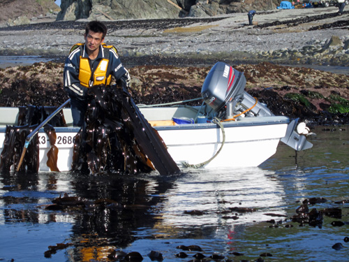 昆布採り・円館2.jpg