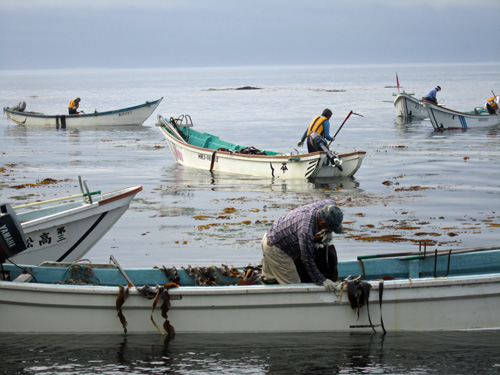 昆布漁・平宇.jpg