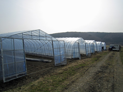 種まきのビニールハウス.jpg