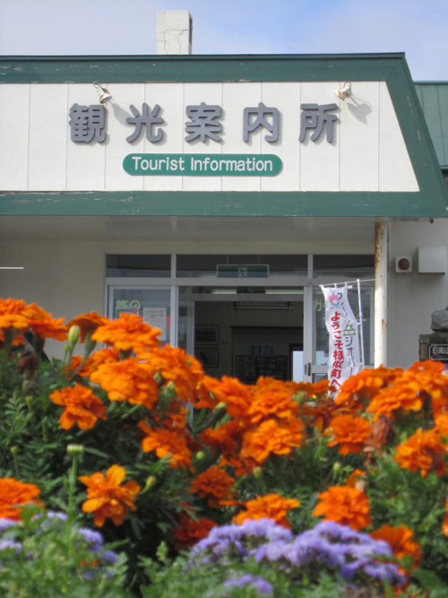 観光案内所と花.jpg