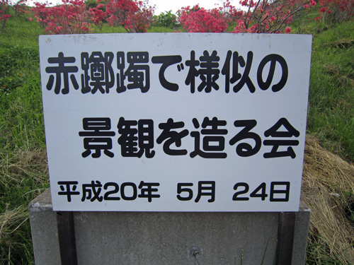 赤躑躅看板.jpg