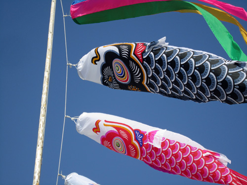 鯉のぼりアップ.jpg