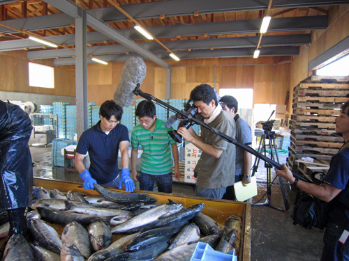 アキアジ_島田水産_TV取材.jpg