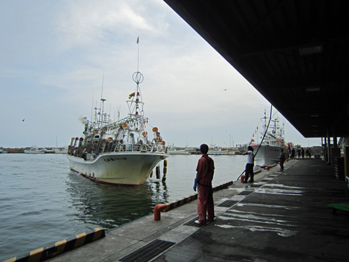イカ船帰港.jpg