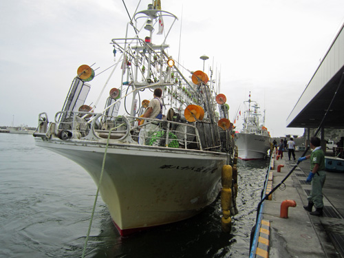 イカ船着岸.jpg