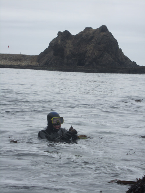 ウニ採りダイバー.jpg