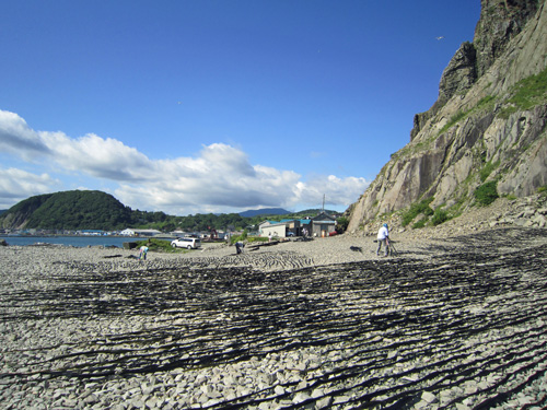 エンルム裏の昆布干し1.jpg