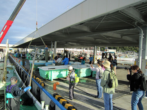 サケツアー_水揚げ見学.jpg