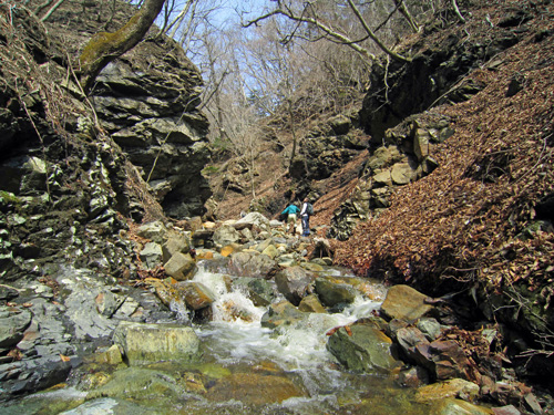 ルエランベツ沢の途中.jpg