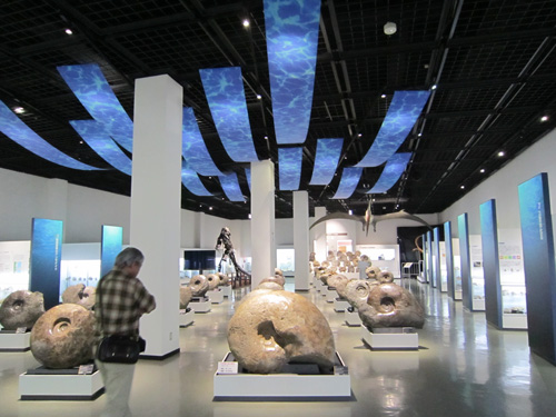 三笠博物館アンモナイト.jpg