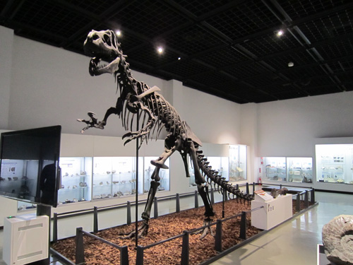 三笠博物館恐竜.jpg