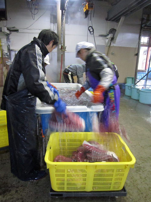 丸富_タコ_水〆2.jpg