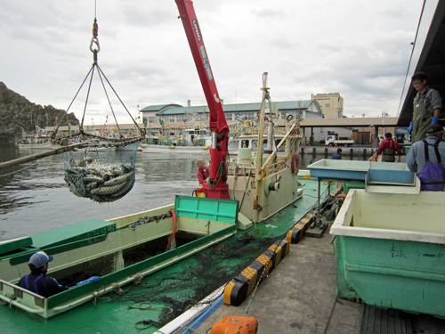 天幸丸_水揚げ.jpg