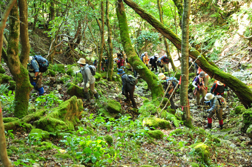 山道ツアー_東口沢登り.jpg