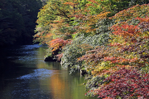 幌満峡_紅葉_第3発電所付近.jpg
