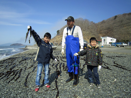 平宇・伊藤家昆布干し.jpg